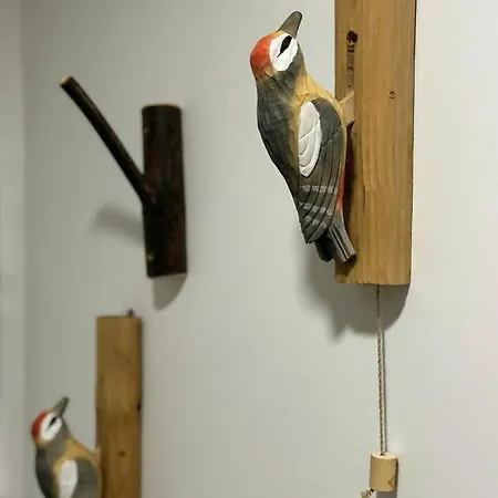 Vistas By Cardi Panticosa